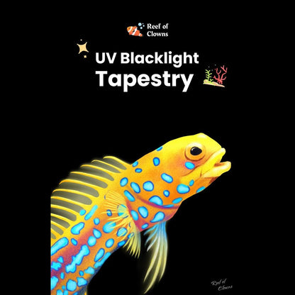 Blue Dotted Jawfish