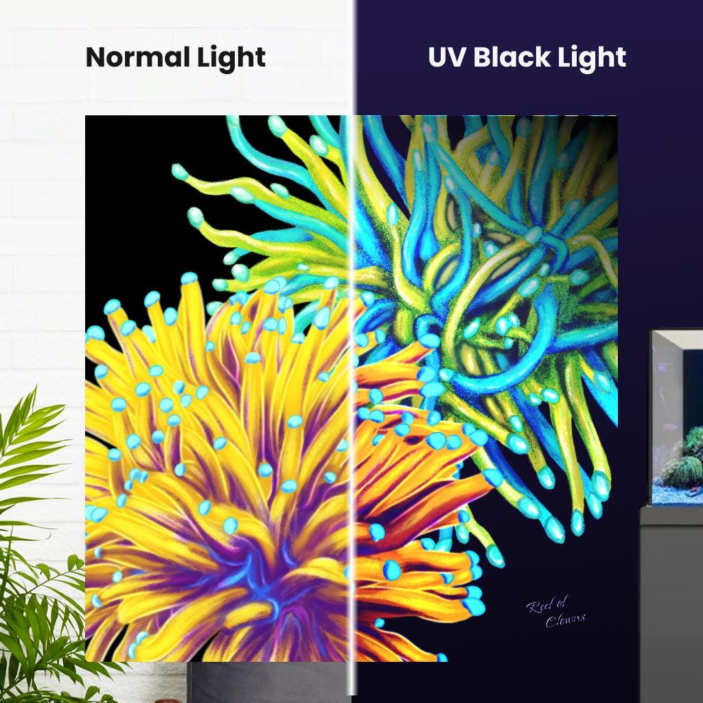 Torch Coral Garden