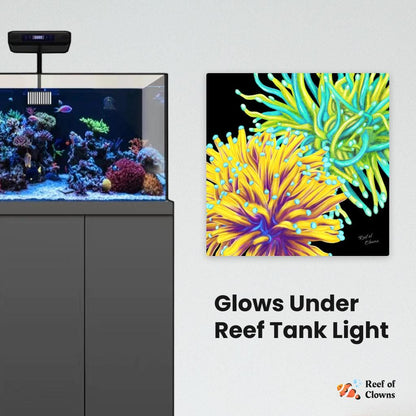Torch Coral Garden
