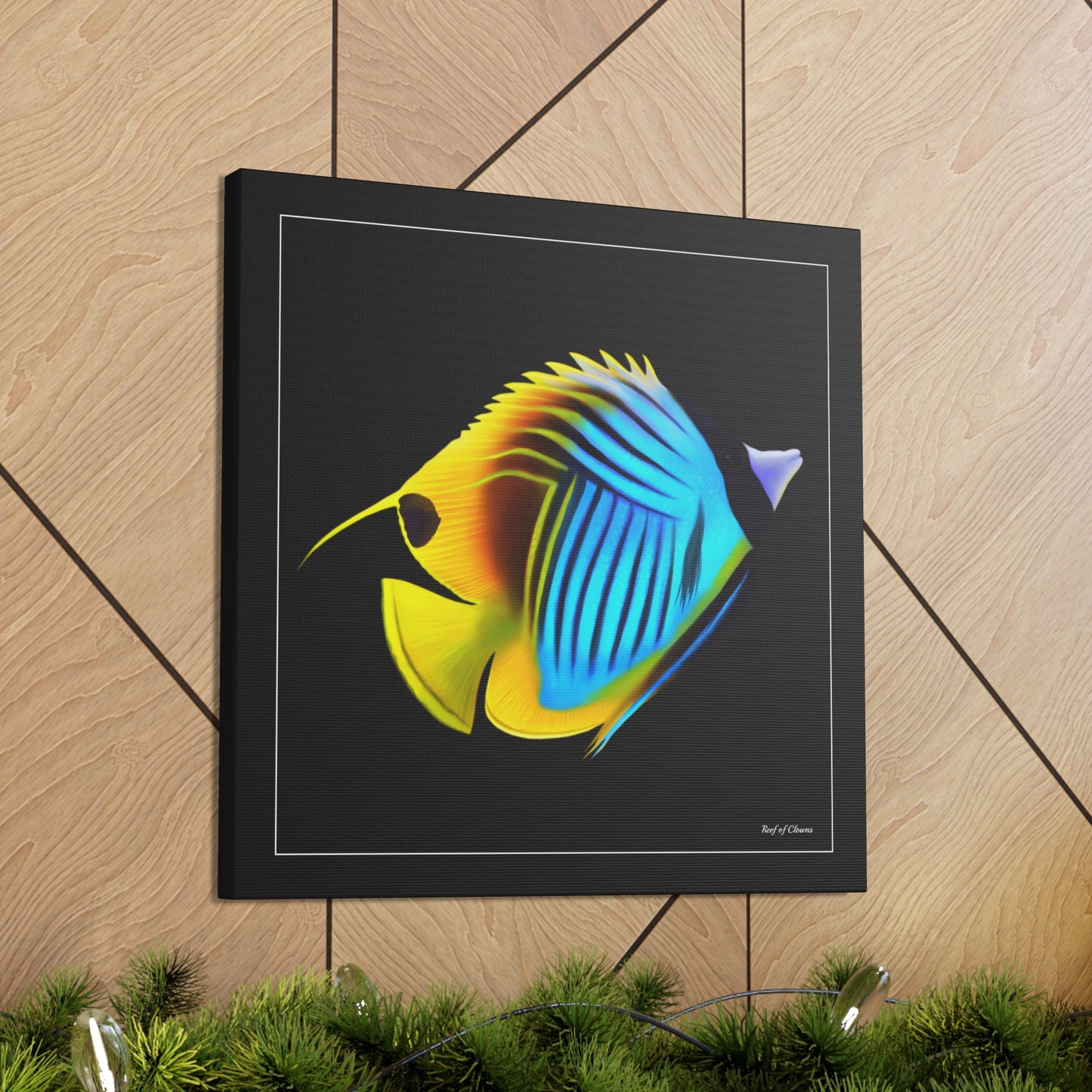 Threadfin Butterflyfish - Reef of Clowns LLC