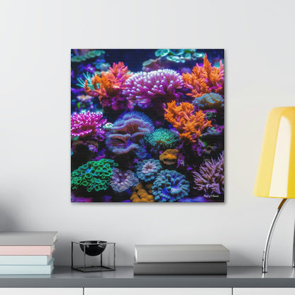 Amazing Coral Aquascape - Reef of Clowns