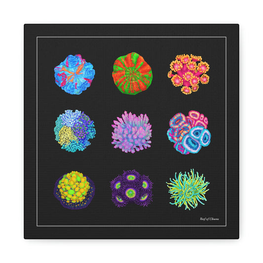 Coral Collection (Canvas Art) - Reef of Clowns