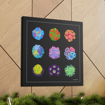 Coral Collection (Canvas Art) - Reef of Clowns