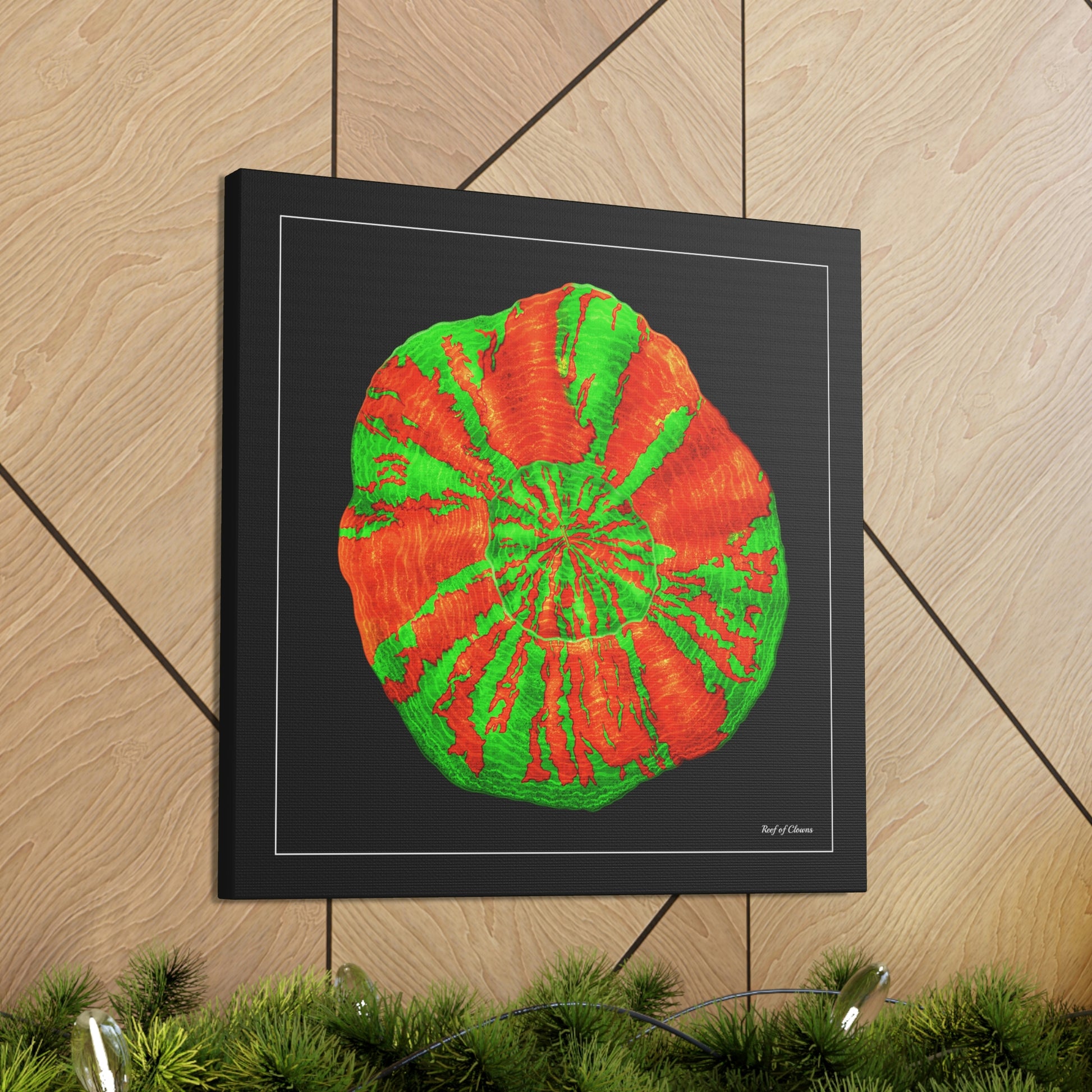 Bleeding Apple Scoly Coral (Canvas Art) - Reef of Clowns