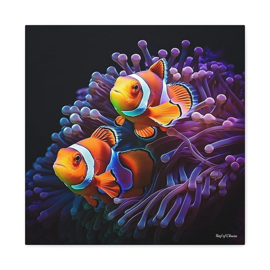 Clownfish Pair on Purple Anemone - Reef of Clowns