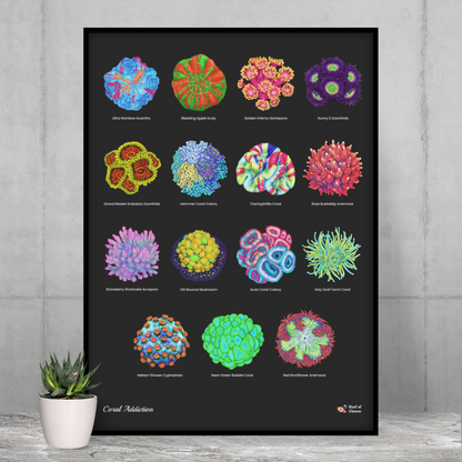15 Hand-drawn Based Coral Poster (Vertical) - Reef of Clowns