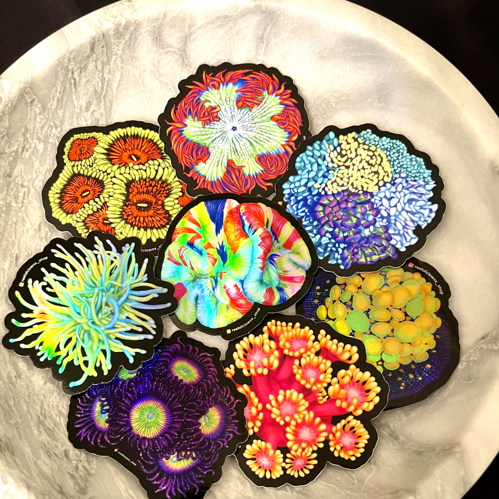 Sunny D Zoanthids Coral Sticker (Holographic) - Reef of Clowns