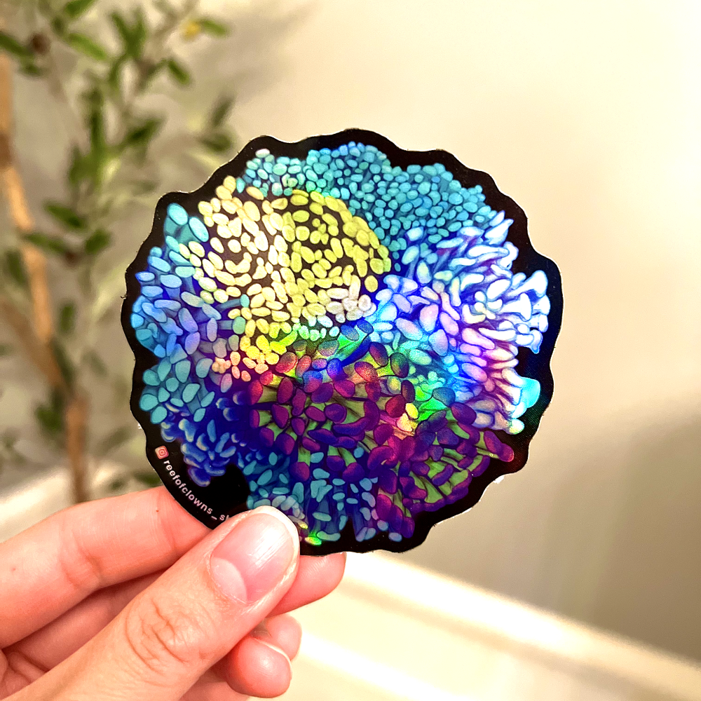 Hammer Coral Colony Sticker (Holographic) - Reef of Clowns
