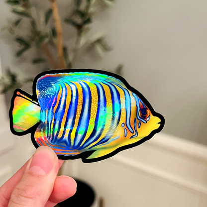 Regal Angelfish (Holographic) - Reef of Clowns