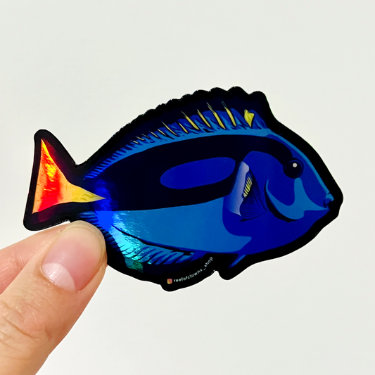 Blue Tang (Holographic) - Reef of Clowns