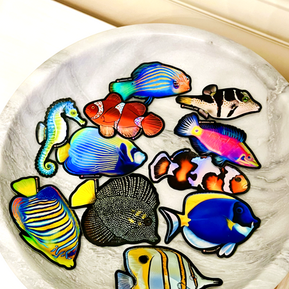 Designer Clownfish (Holographic) - Reef of Clowns