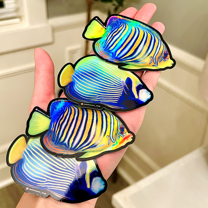 Regal Angelfish (Holographic) - Reef of Clowns