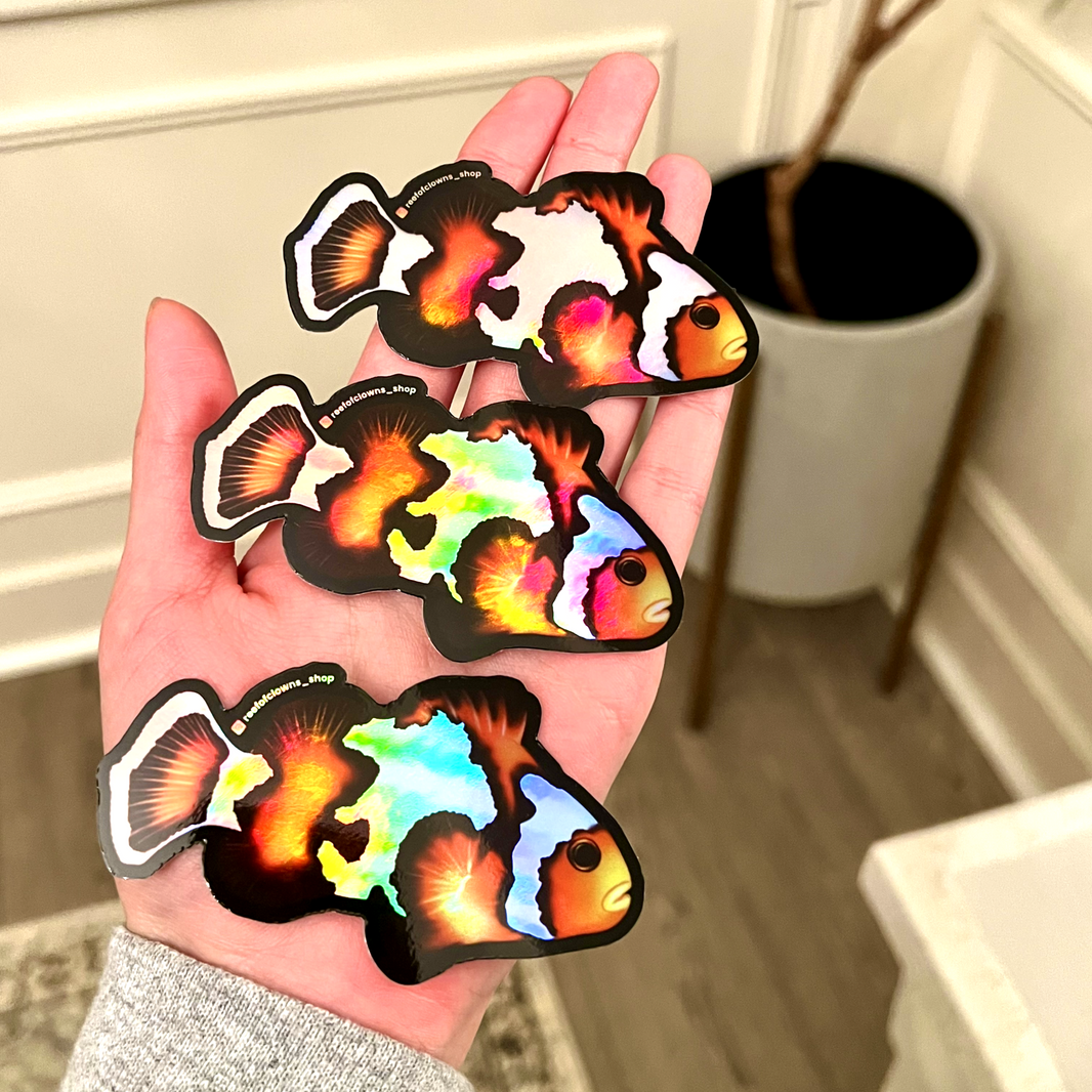 Feef Ruff Stickers Saltwater Fish and Corals Stickers – Reef of Clowns LLC