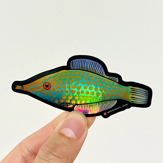 Orange Spotted Filefish a.k.a Harlequin (Holographic) - Reef of Clowns
