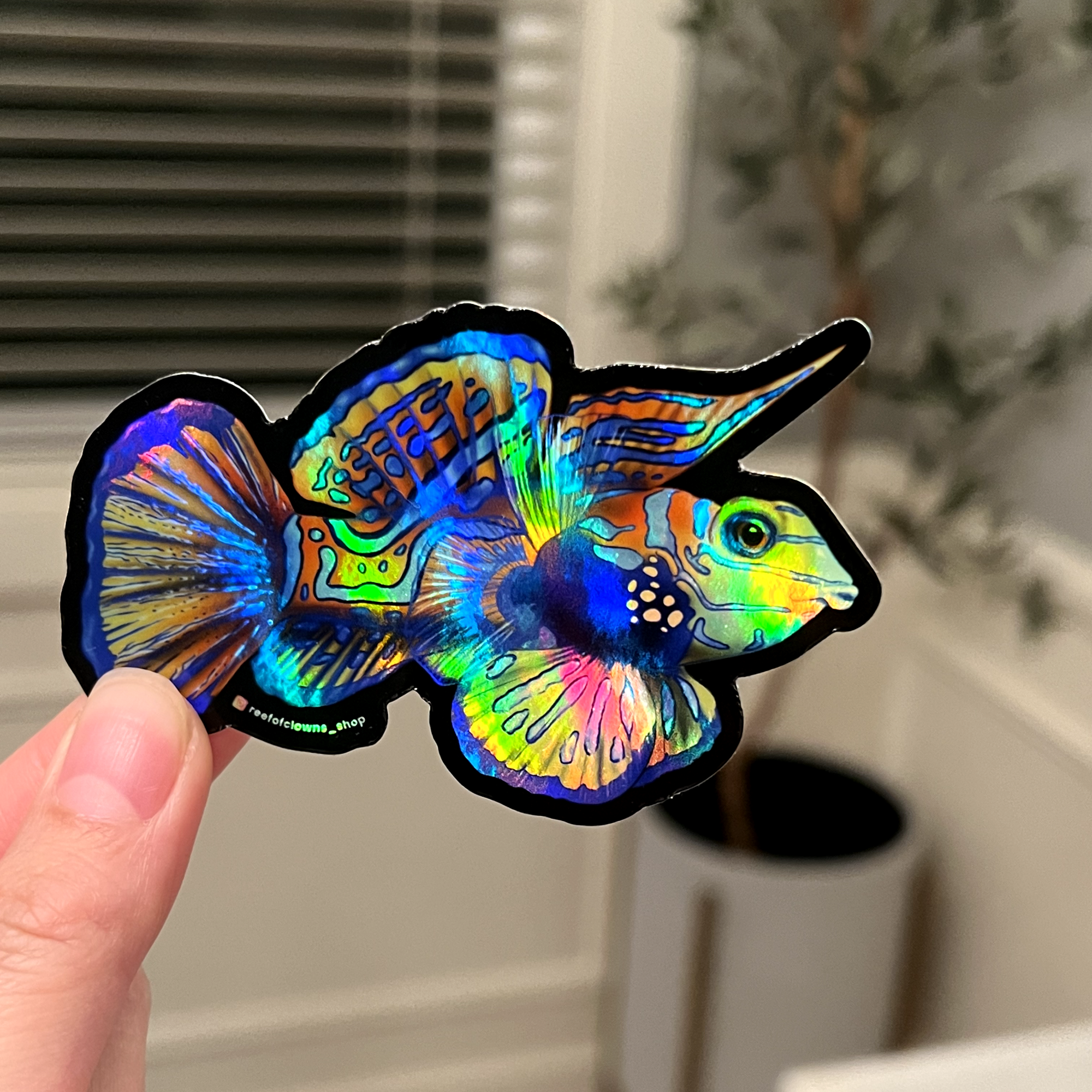 Goby Frame Mandarin Goby (Holographic) – Reef of Clowns LLC
