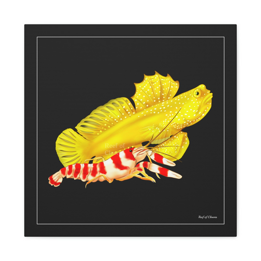 Yellow Watchman Goby and Pistol Shrimp - Reef of Clowns