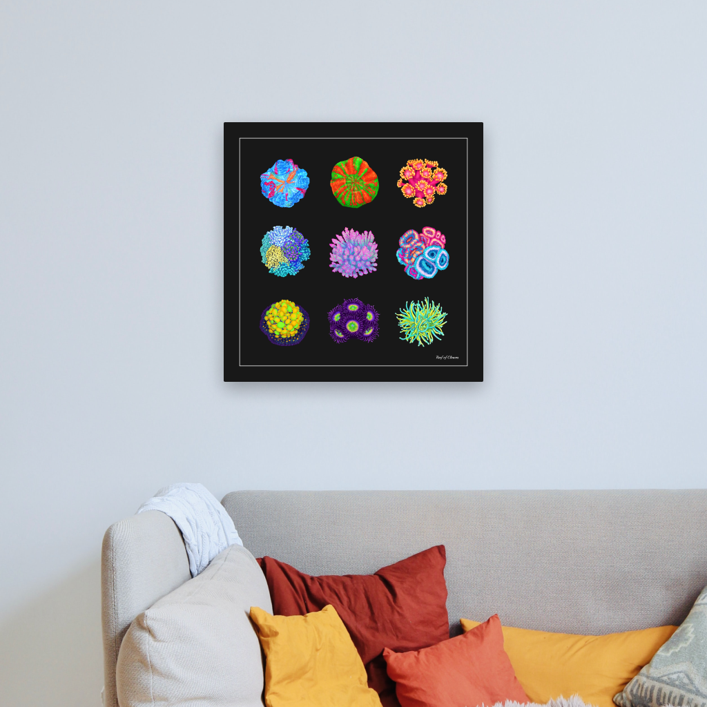 Coral Collection (Canvas Art) - Reef of Clowns