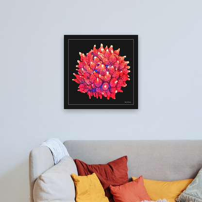 Rose Bubbletip Anemone (Canvas Art) - Reef of Clowns