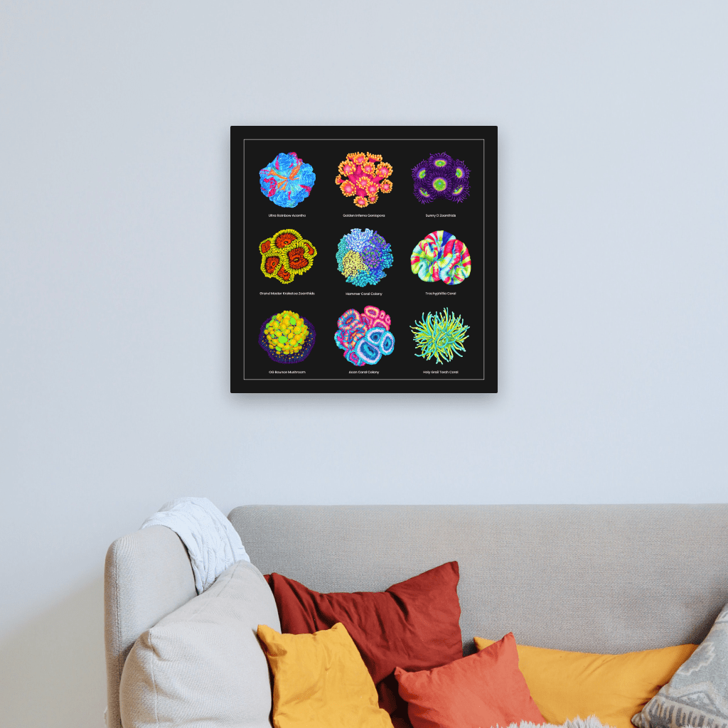 Coral Collection with Names (Canvas Art) - Reef of Clowns