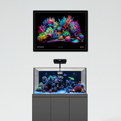 Reef Imagination UV Blacklight Tapestry - Reef of Clowns