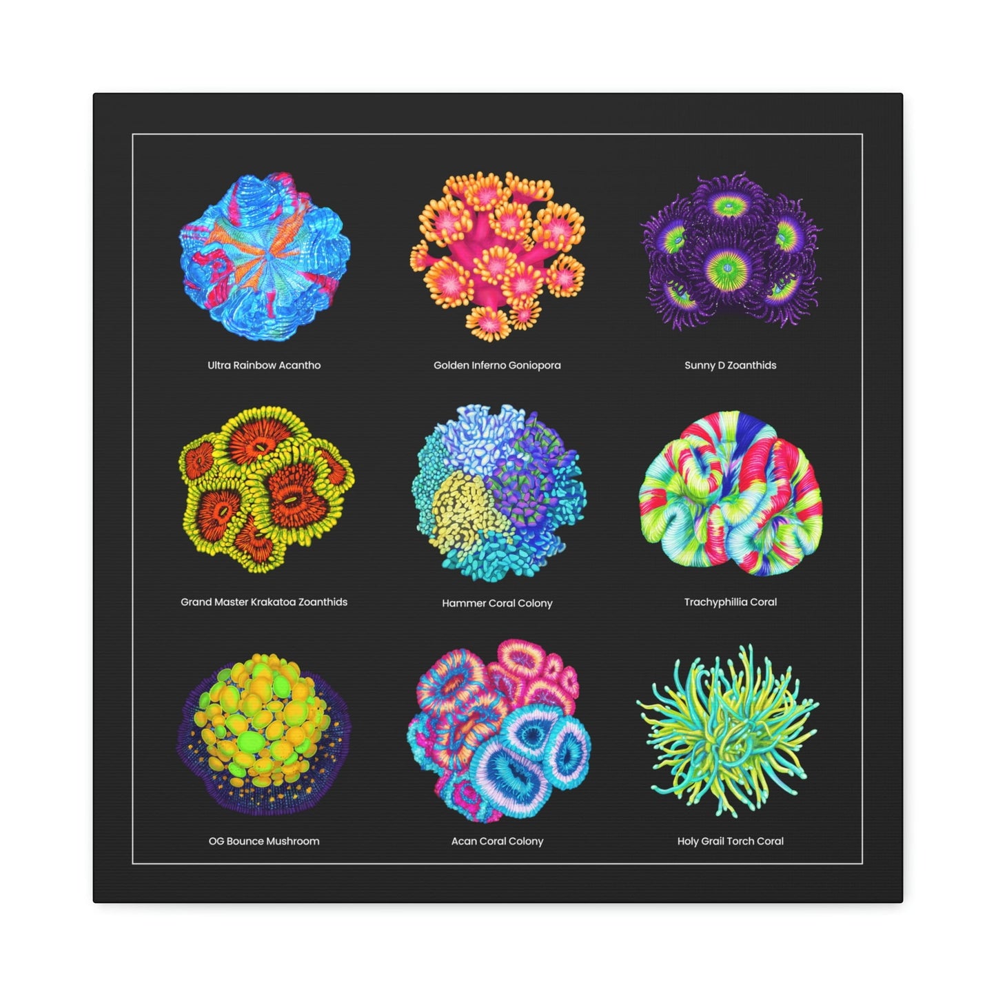 Coral Collection with Names (Canvas Art) - Reef of Clowns