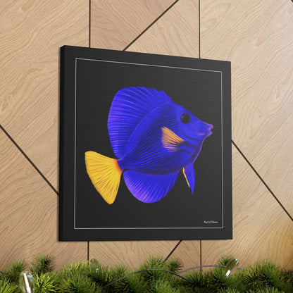 Purple Tang - Reef of Clowns LLC