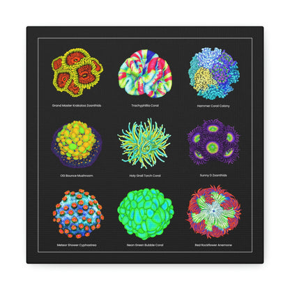Coral Collection with Names v2 (Canvas Art) - Reef of Clowns