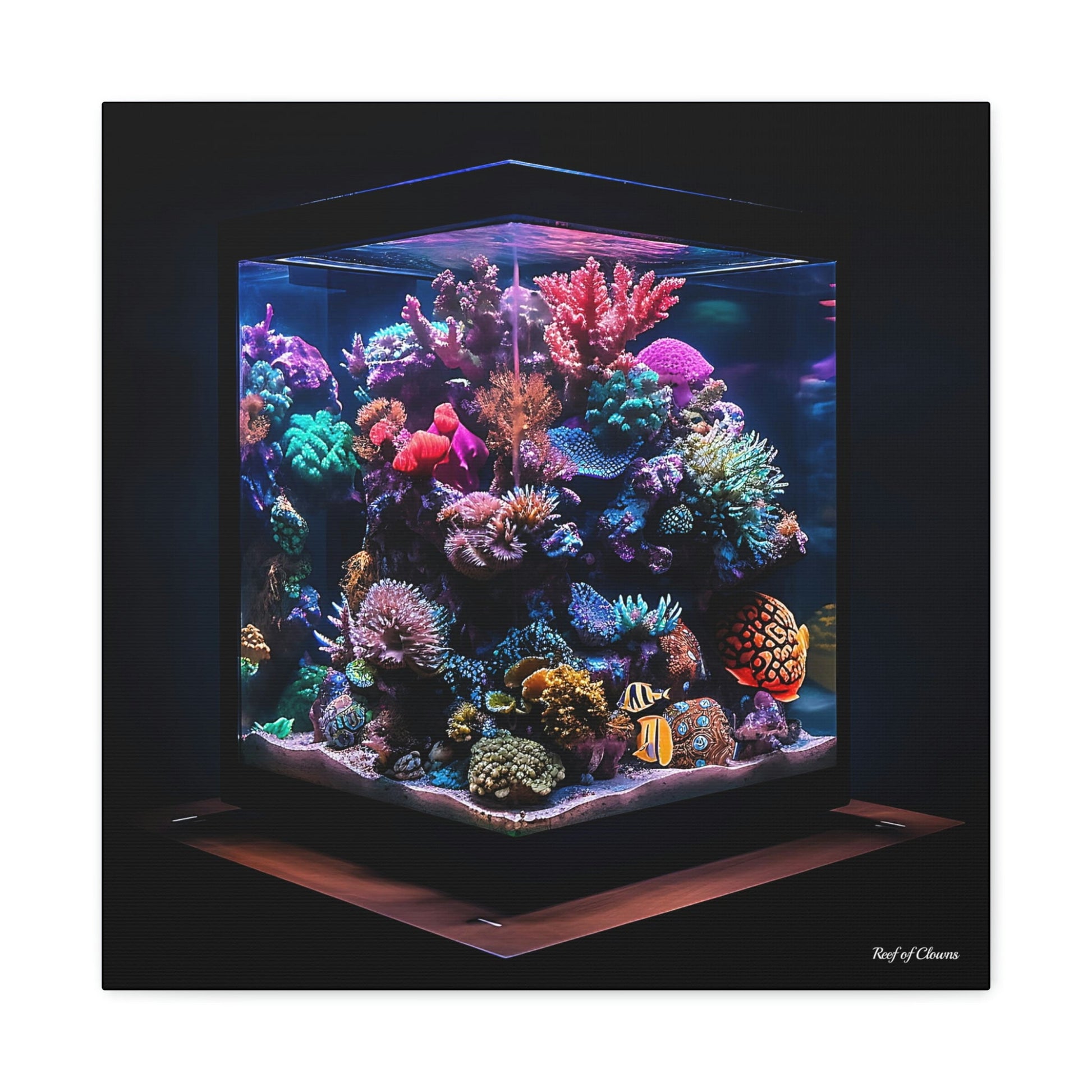 Nano Reef Tank Tranquility - Reef of Clowns