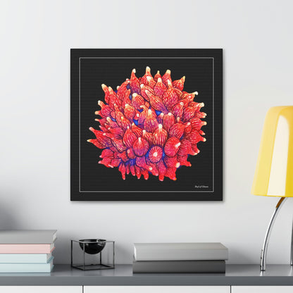 Rose Bubbletip Anemone (Canvas Art) - Reef of Clowns
