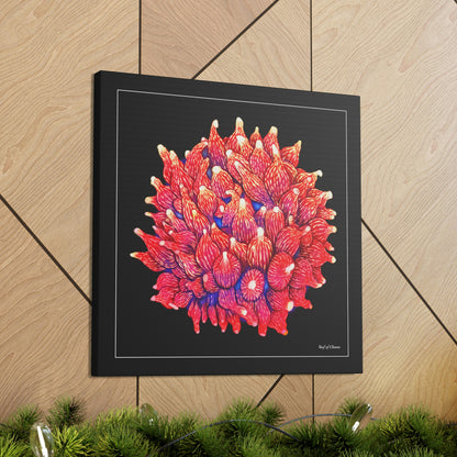 Rose Bubbletip Anemone (Canvas Art) - Reef of Clowns