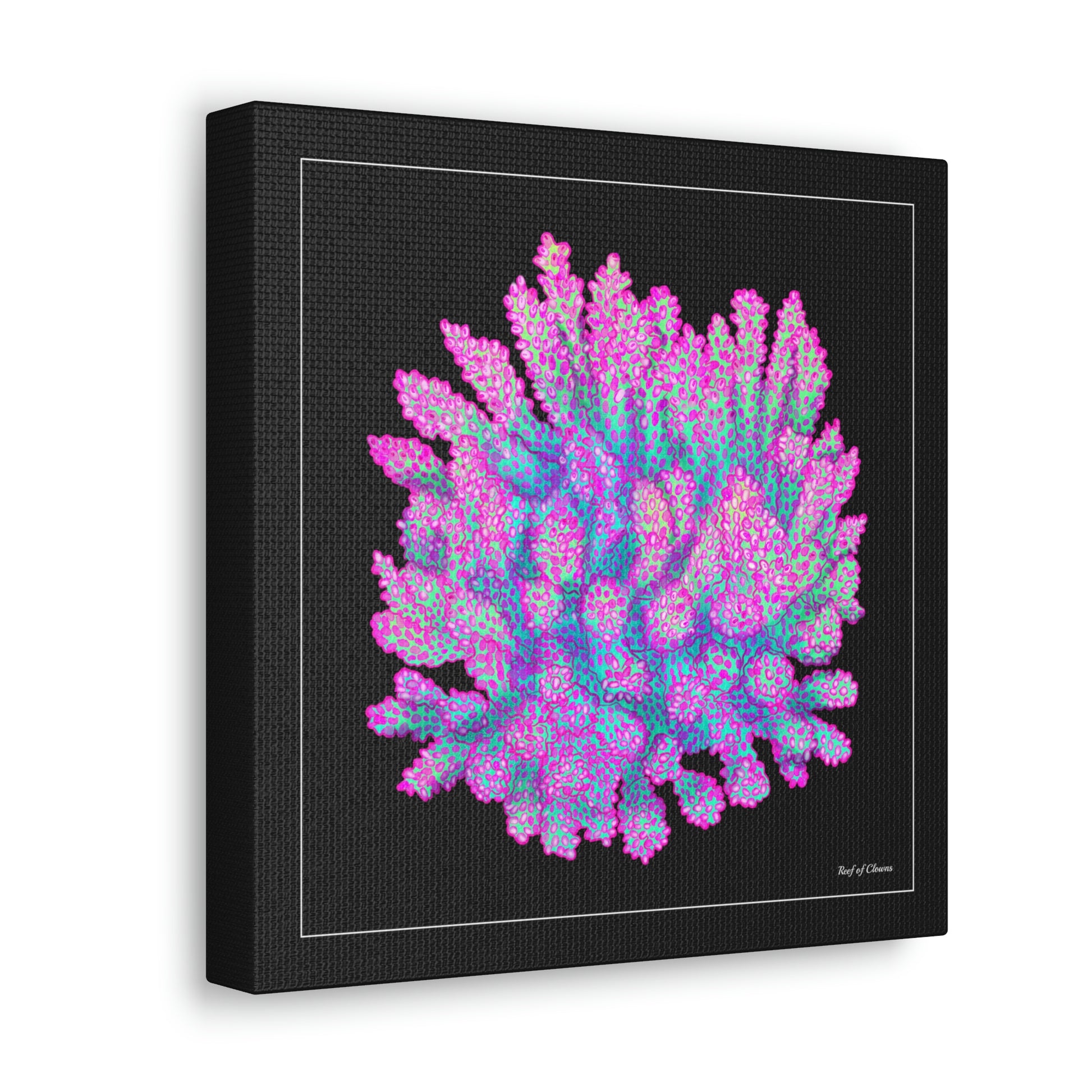 Strawberry Shortcake Acropora (Canvas Art) - Reef of Clowns