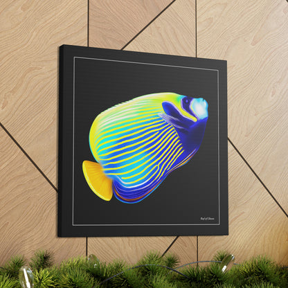 Emperor Angelfish - Reef of Clowns