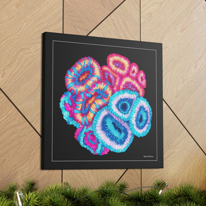 Acanthastrea Coral Garden (Canvas Art) - Reef of Clowns