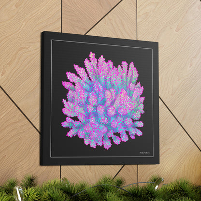 Strawberry Shortcake Acropora (Canvas Art) - Reef of Clowns